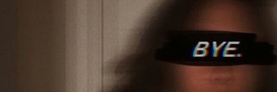 Vit banner
