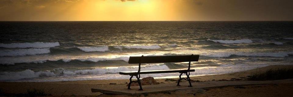 ddhiemazz's profile banner image