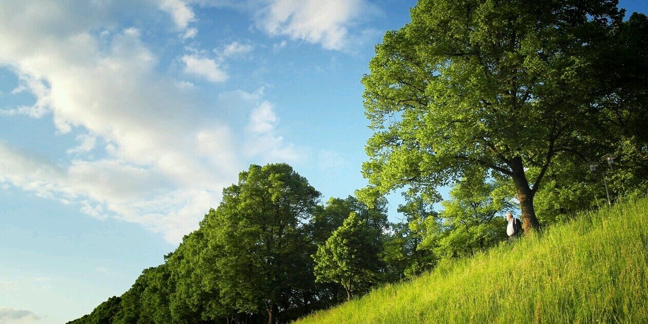 Abdullahx600's profile banner image