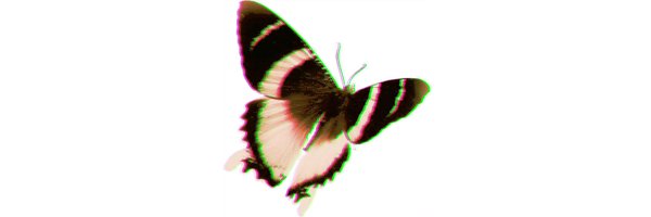 hailsxdreww Profile Banner