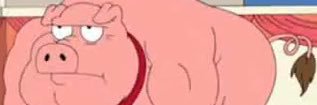 Swines2's profile banner image