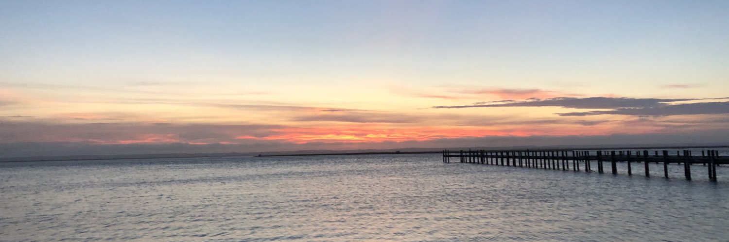 savrowland9's profile banner image