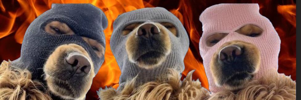 frank4bets's profile banner image