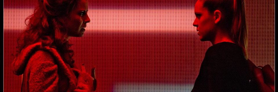sandra arpa banner