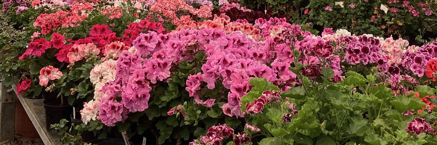 Fibrex Nurseries banner