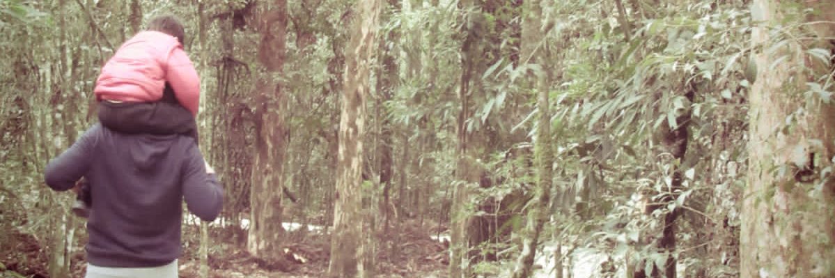RODRIGO DOS SANTOS banner