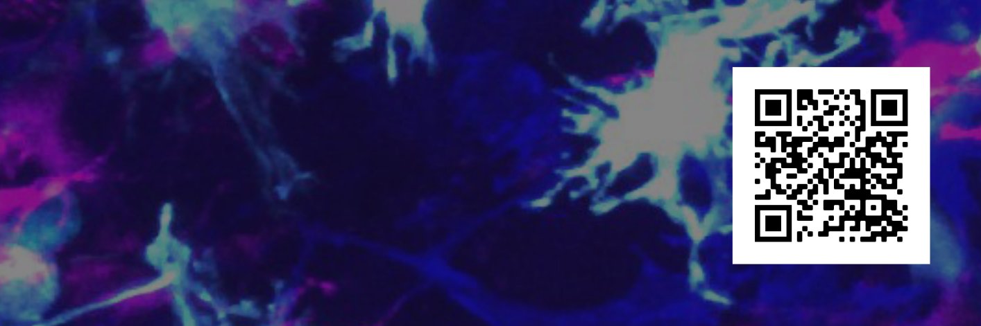 IntersectionsScienceFellows's banner