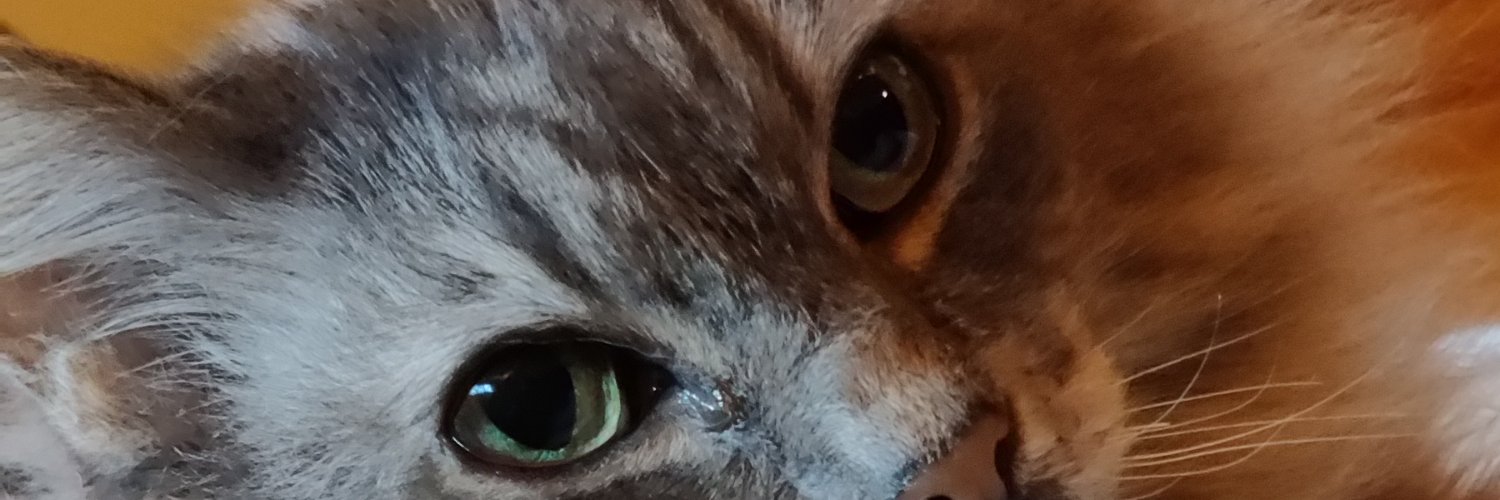 k3r's profile banner image