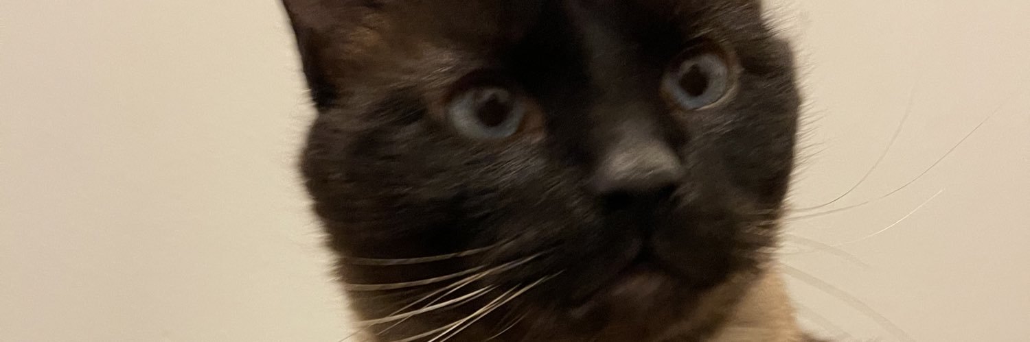 GeshWho_'s profile banner image