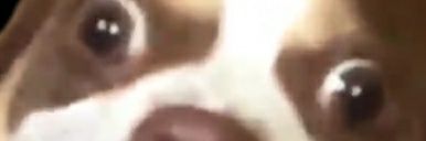 PEyzodP's profile banner image