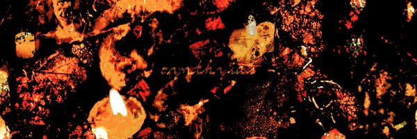 cynthyias Profile Banner