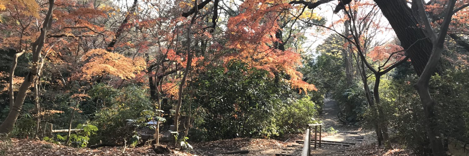 MIYAYOHE's profile banner image