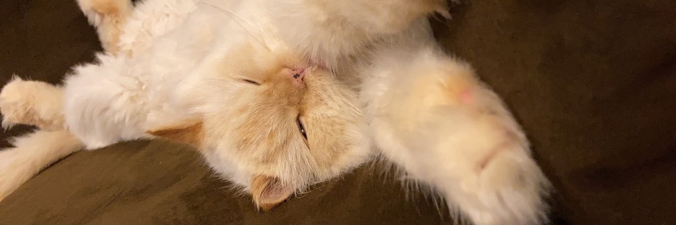 stormithehimmy's profile banner image