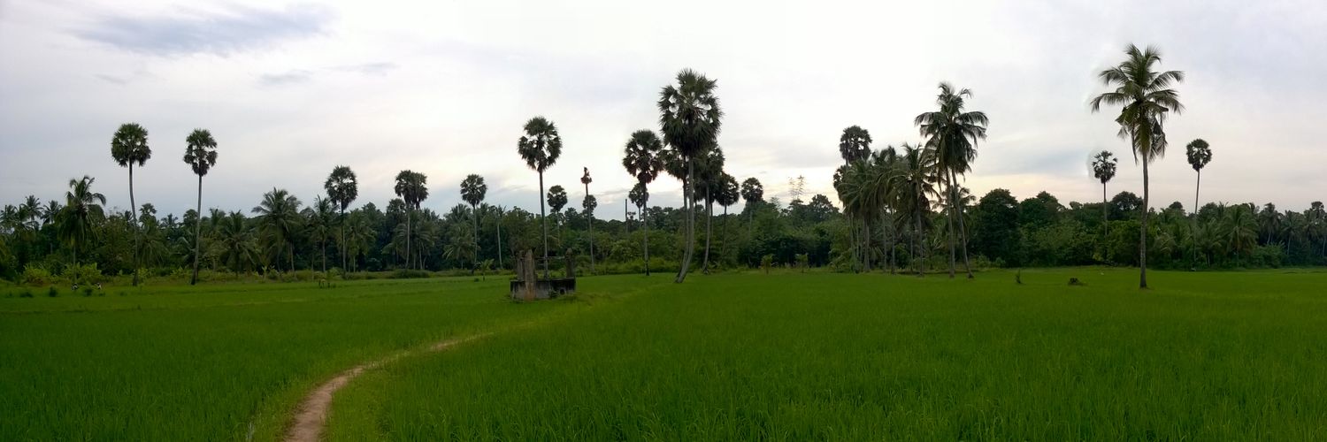 _nandulals_'s profile banner image