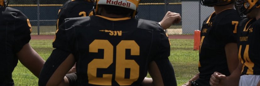 Luca Minardo banner