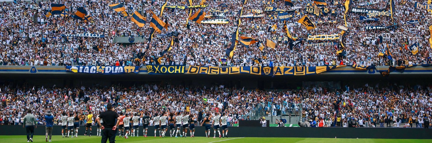 Goyito's banner