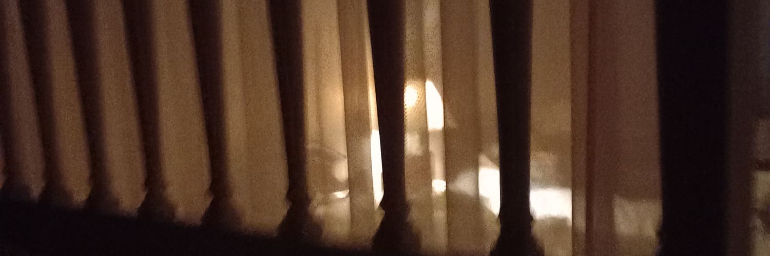 _burbi's profile banner image