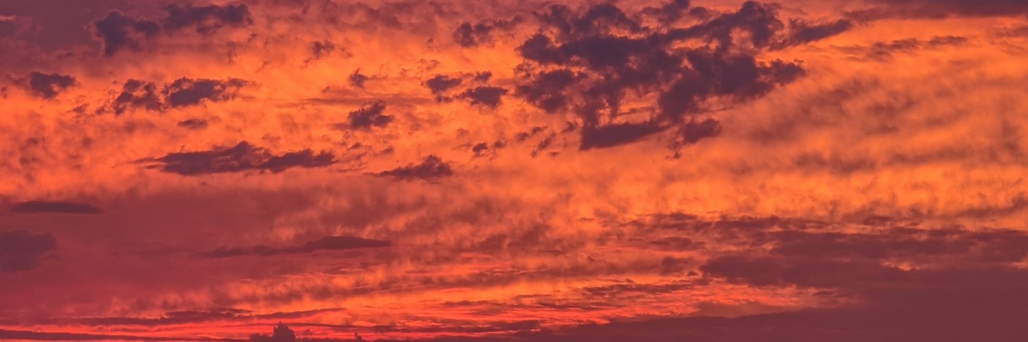 carter_rankin's profile banner image