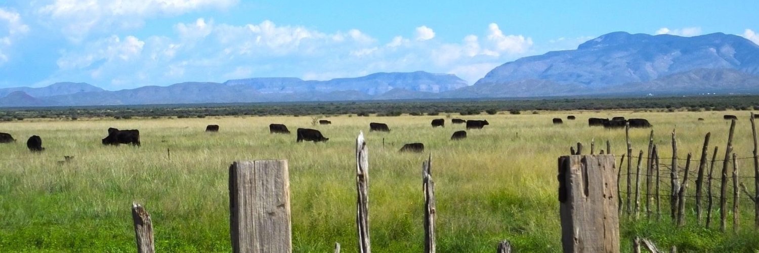 NM Cattle Growers' Association banner