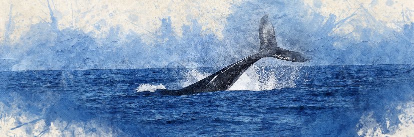 Whale_PhD52's profile banner image