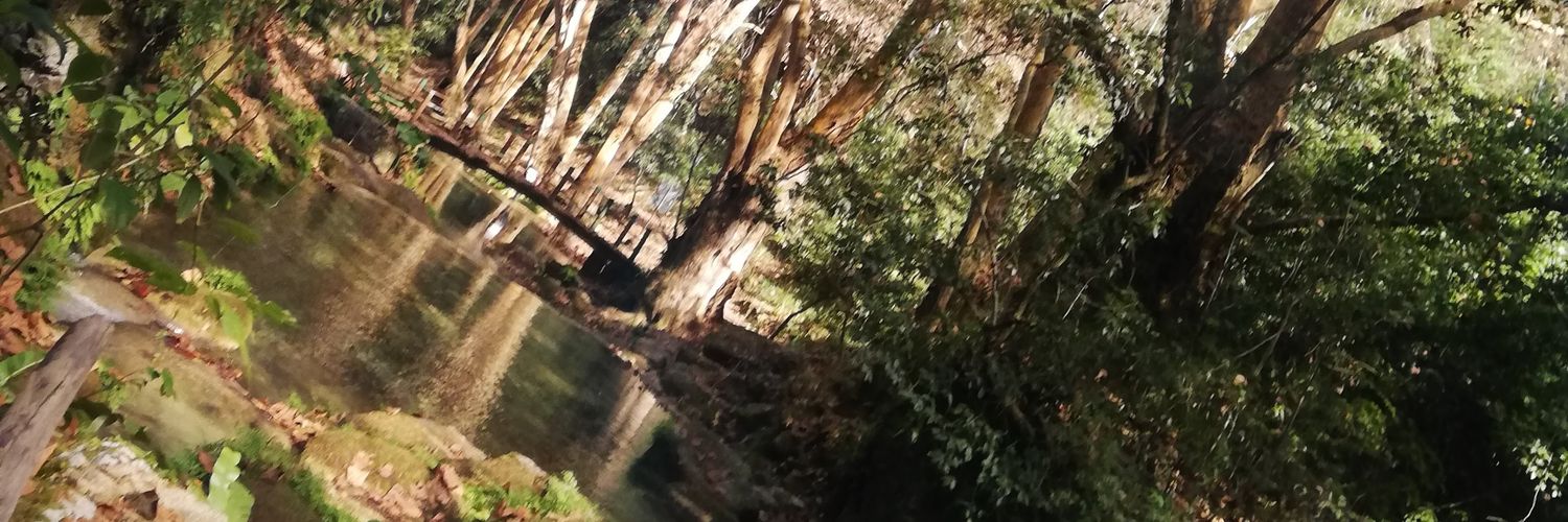 Dittoithem's profile banner image