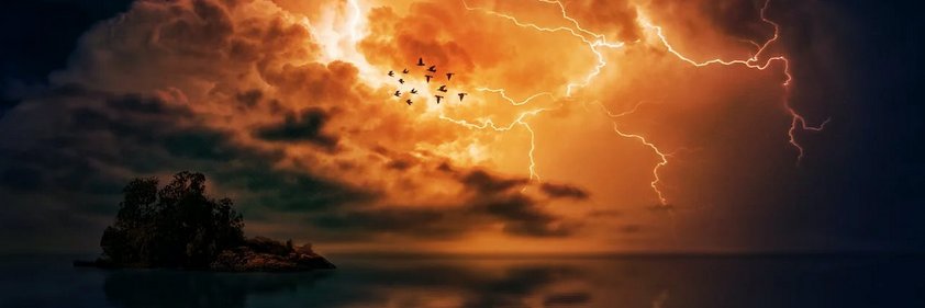 💥 T REX 💥 banner