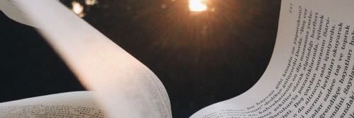 MrsThullShawn's profile banner image