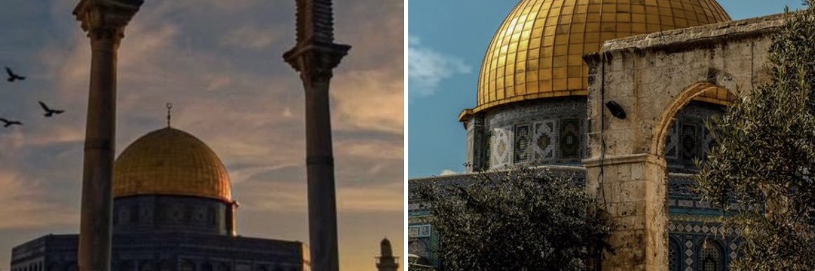 RASHA_A_R's profile banner image