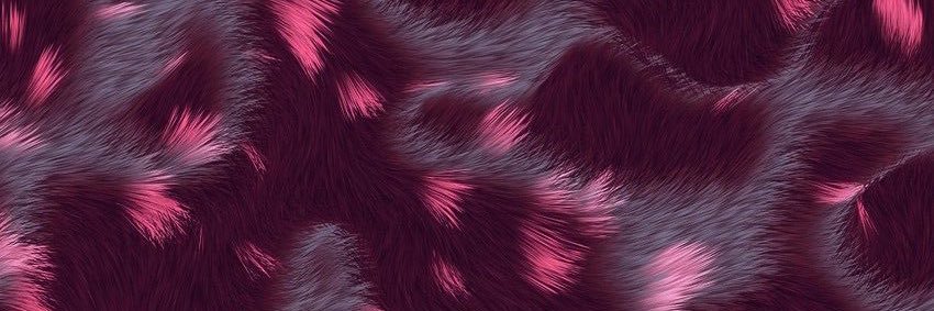 illestbitchever's profile banner image