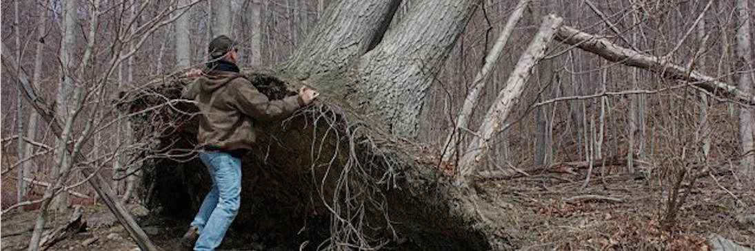 rulesofthumb's profile banner image