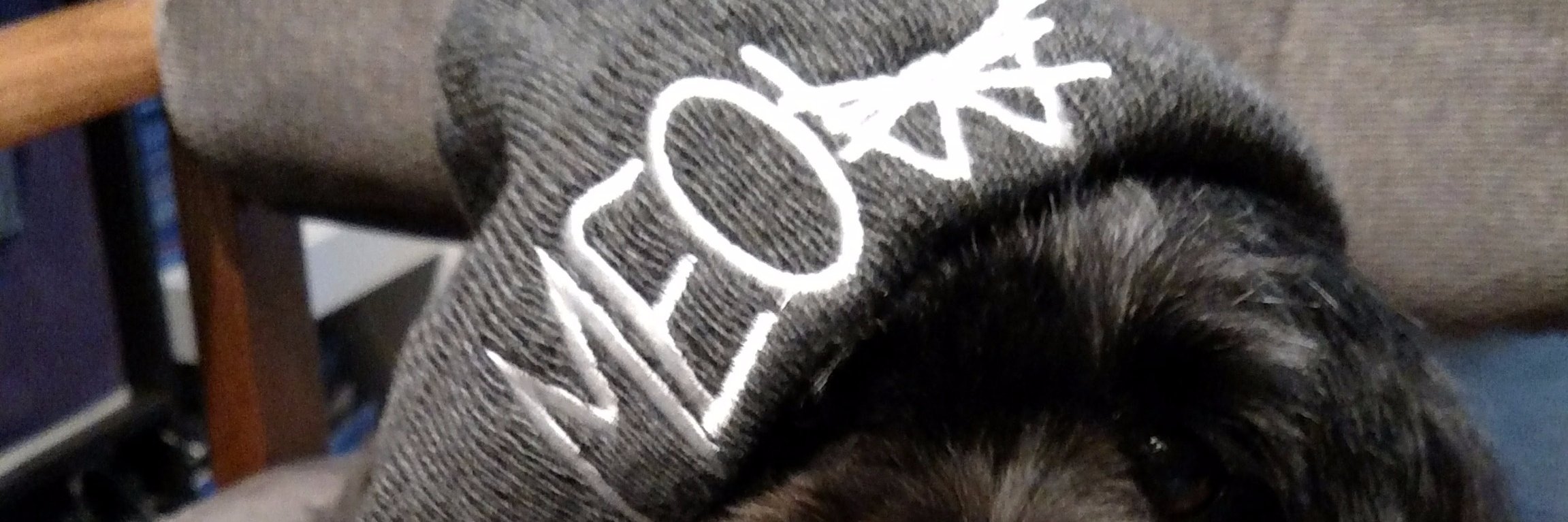 Techn0gen's profile banner image