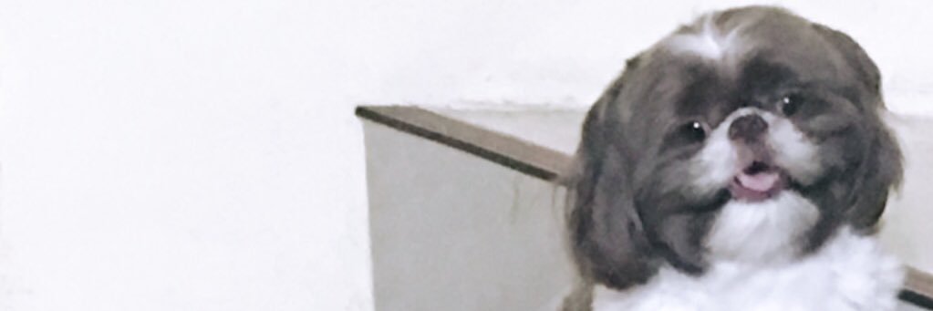 denshaaai's profile banner image