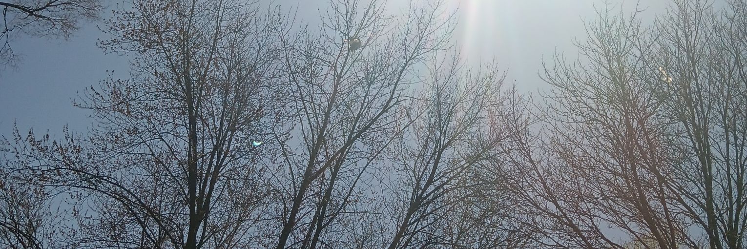 WhiTeBoI_e's profile banner image