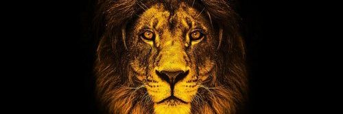 GDubem's profile banner image