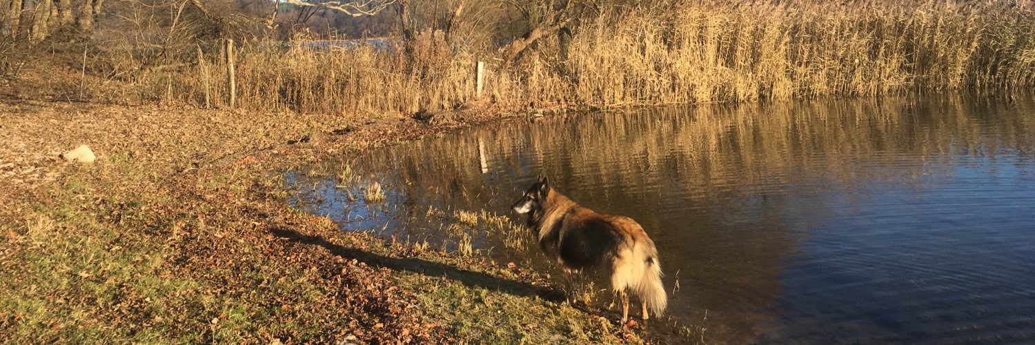 Niels S. Eliasen banner