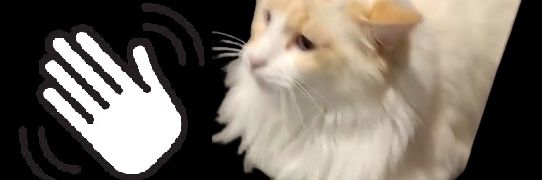 SiFuLoKa's profile banner image