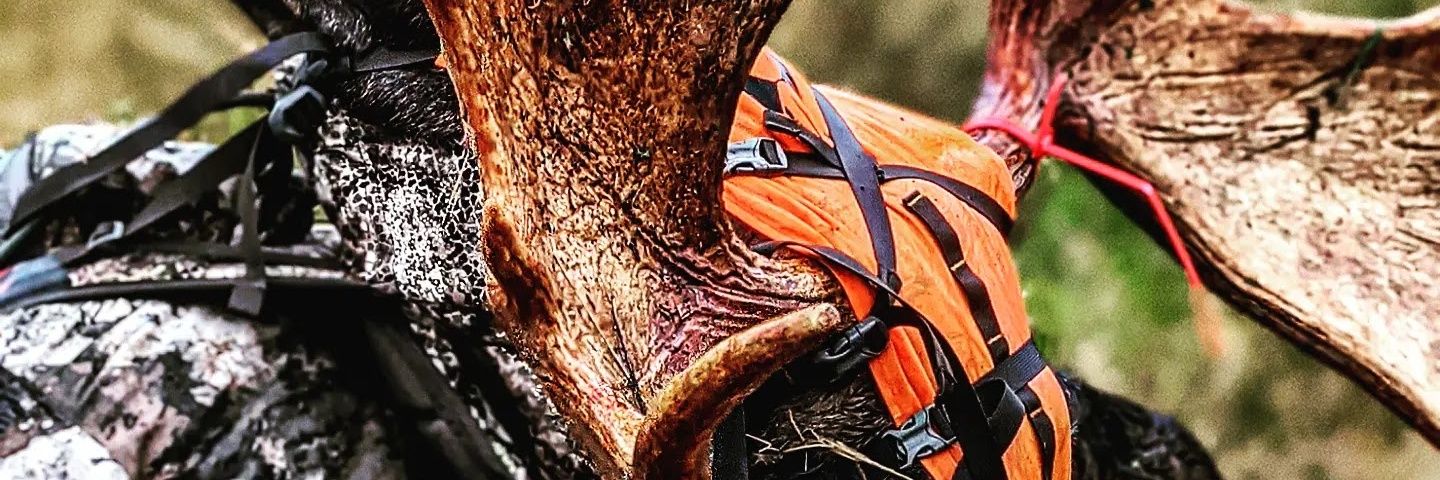 Be_rad58's profile banner image