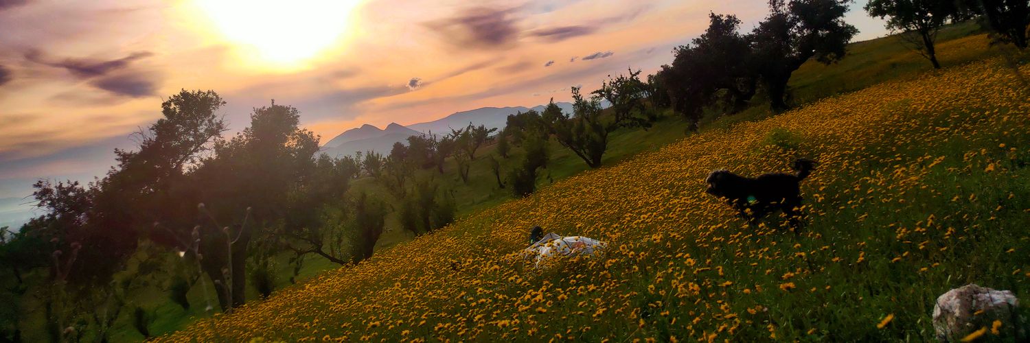 AlexMagn0o's profile banner image