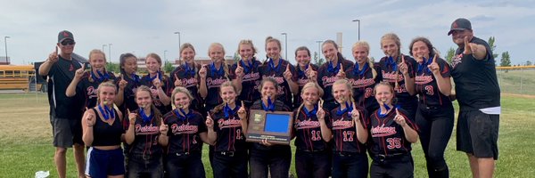 DutchSoftball Profile Banner