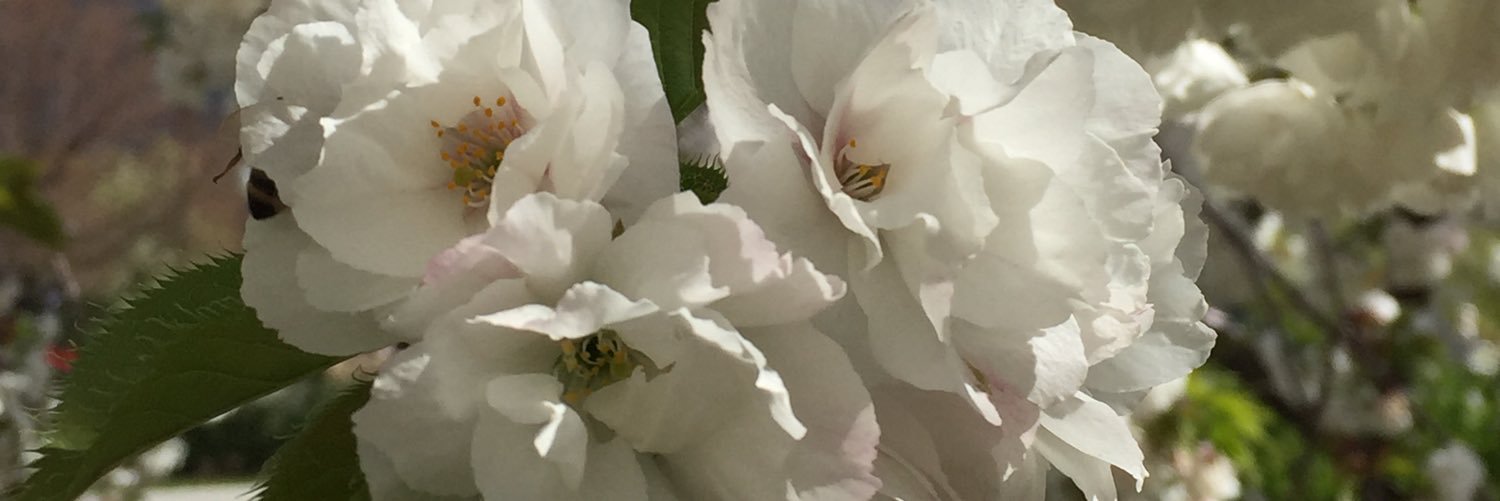 jwls59's profile banner image