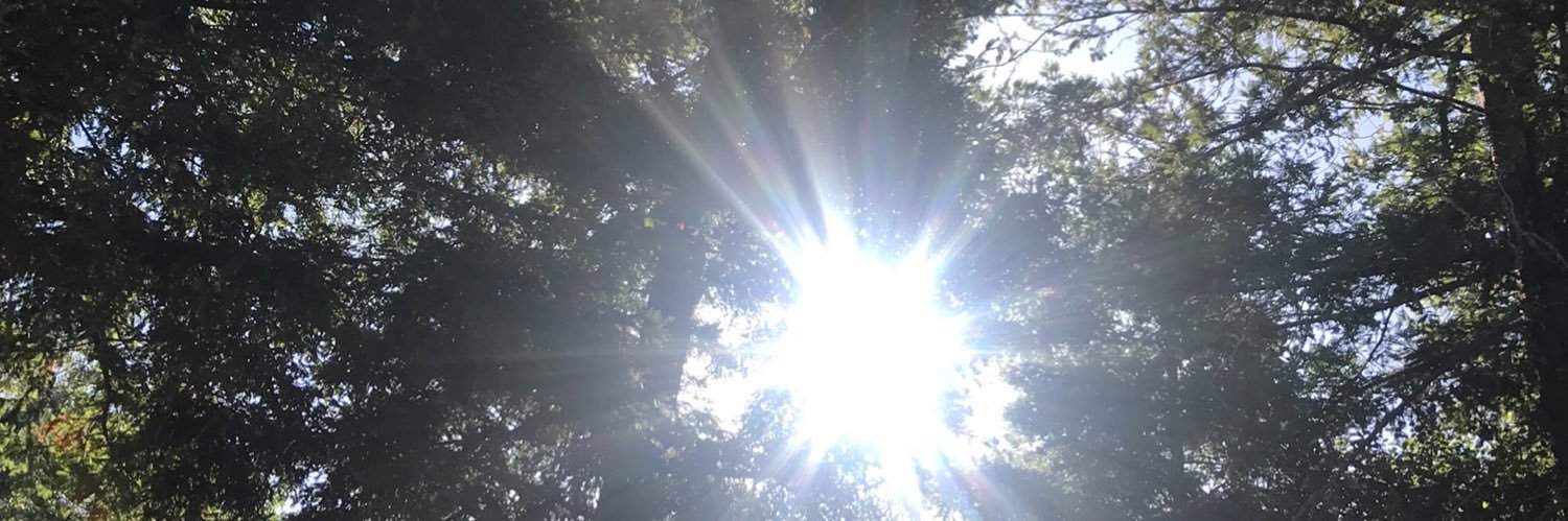 MM 🍊🇺🇸🍊🇺🇸 banner