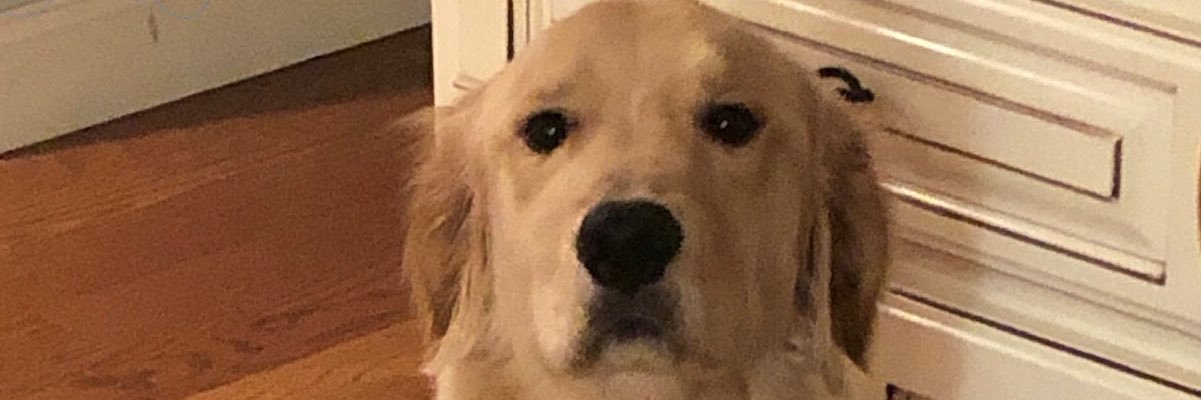 lkwise12's profile banner image