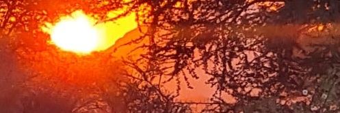 سعد بن صالح العساف banner