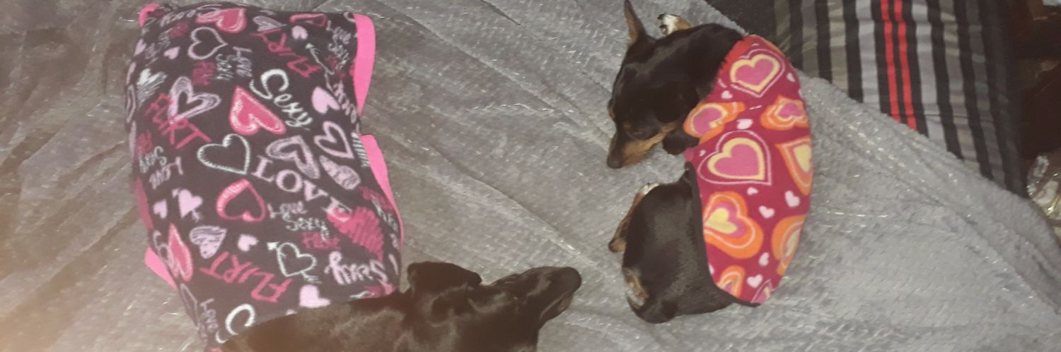 O.R. banner