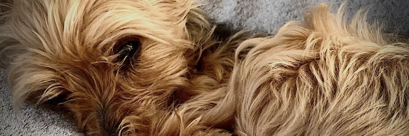 P99Lau's profile banner image