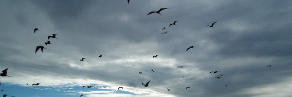 Ecophy_CEBC Profile Banner