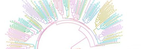 LabNowicki Profile Banner