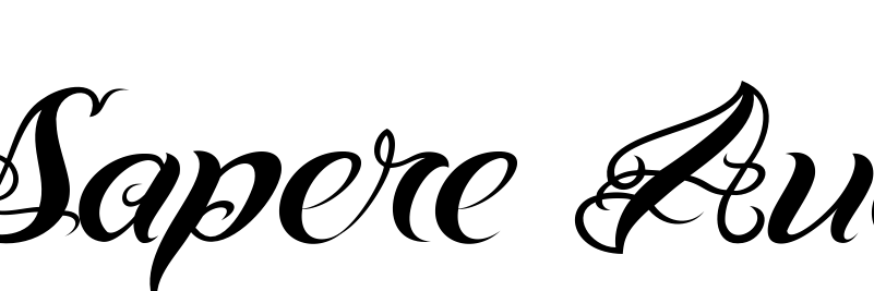 MaxPowell1996's profile banner image