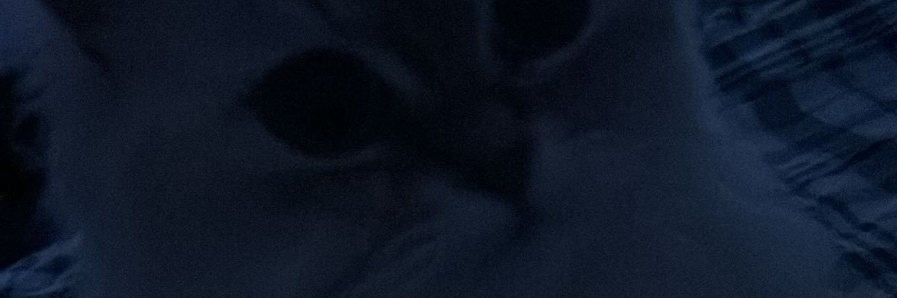 Sheyys banner
