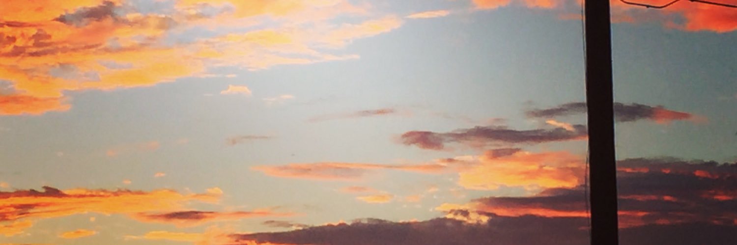 stephaniedanley's profile banner image